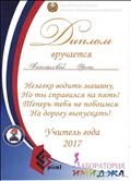 Диплом Госавтоинспекции,2017 Диплом Госавтоинспекции,2017